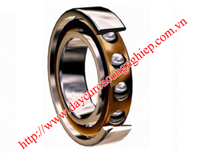 Bạc đạn cầu đỡ chặn